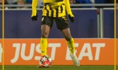 九游体育在线-包含轻取对手！多特蒙德客场获胜，稳定联赛排名的词条