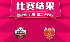 九游体育中国官网-四川队在赛场上表现出色，取得令人赞叹的胜利