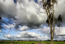 九游体育官方登录入口-黑龙江哈尔滨士气高昂，扬帆迎战贵州贵阳的激动时刻