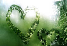 九游体育在线登录-阿尔德特主场逆袭记：逆风翻盘成就传奇