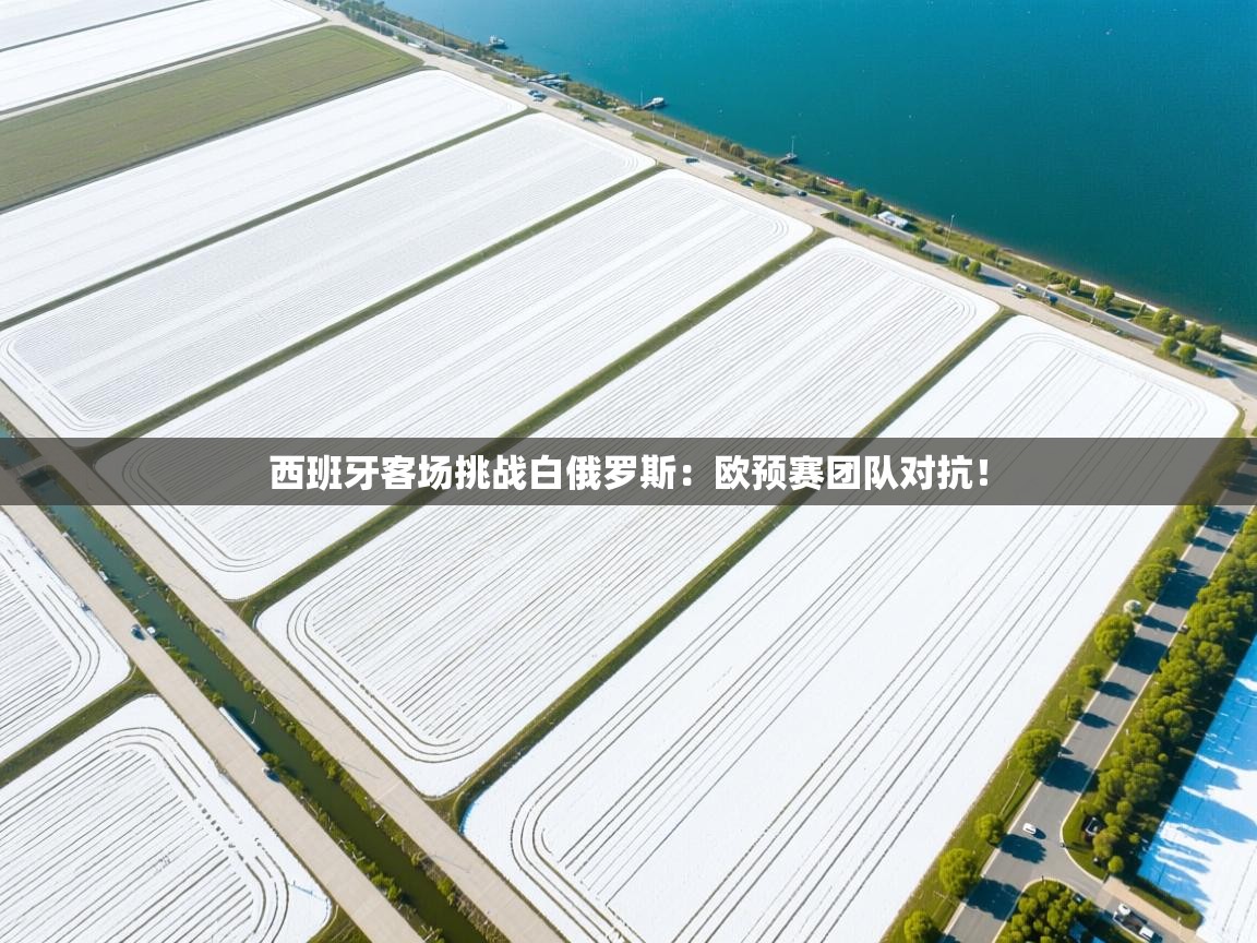 西班牙客场挑战白俄罗斯：欧预赛团队对抗！  第2张