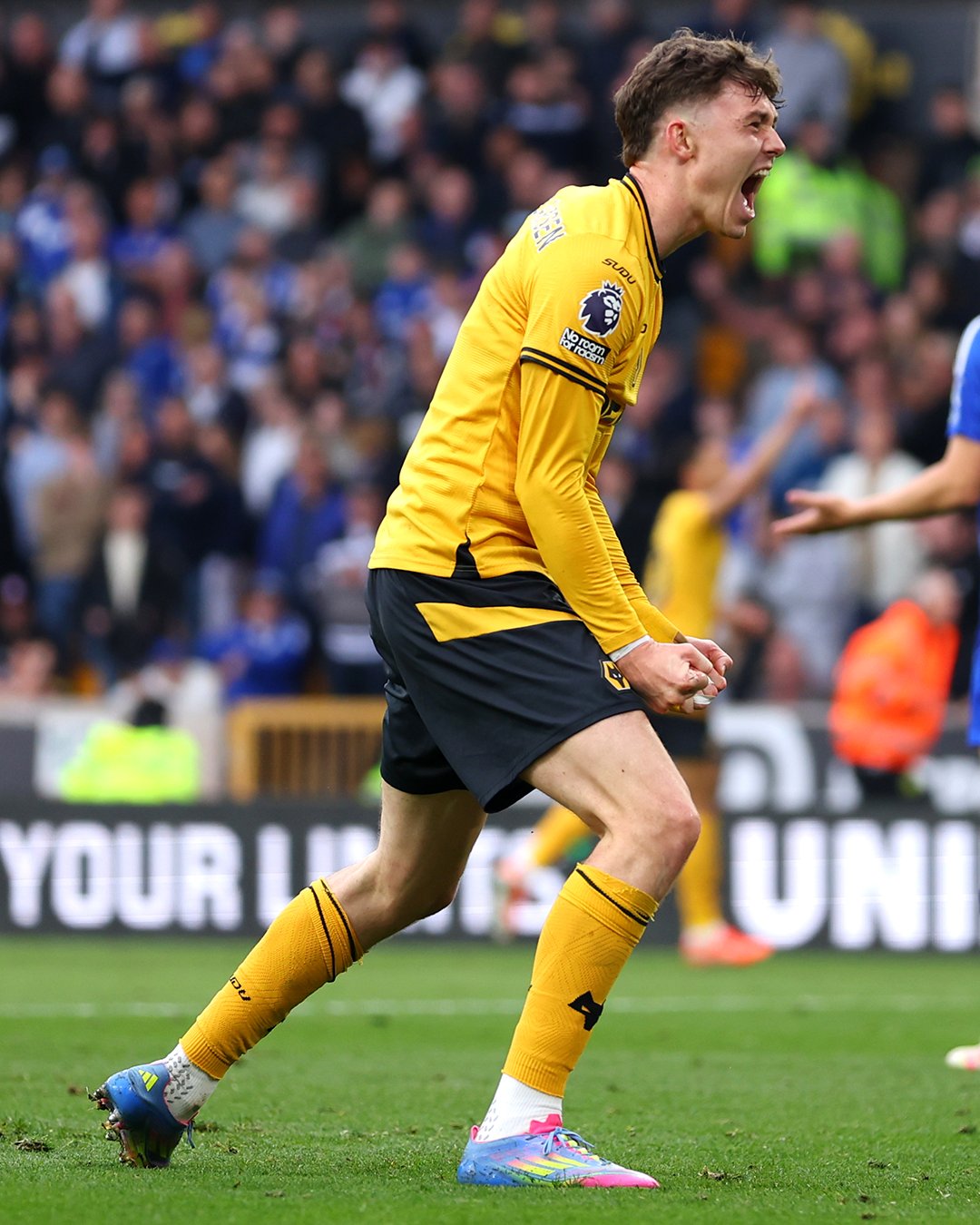 狼队在比赛中击败对手，实力备受肯定